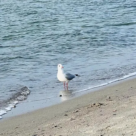 Appartement Five O - Meeresstern - Kingsizebett